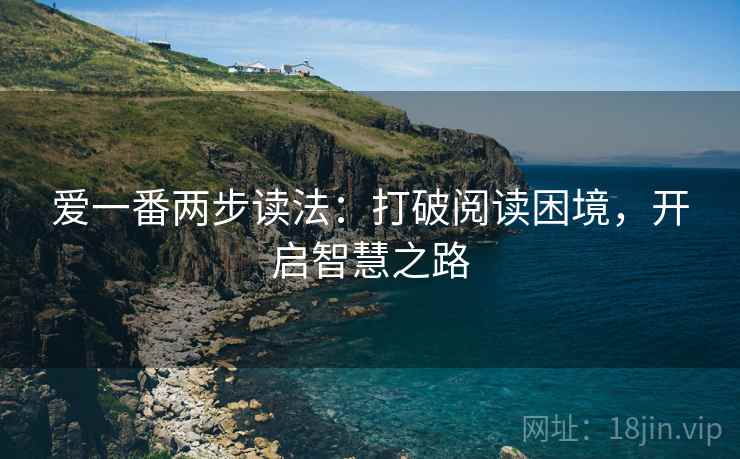爱一番两步读法：打破阅读困境，开启智慧之路